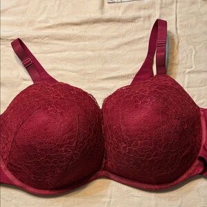 Elegant Lace Bra in Rich Burgundy
